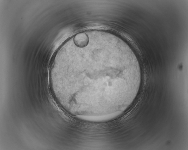 X0000115191274200912091102