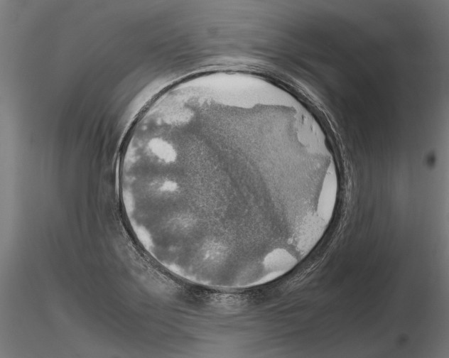 X0000115191275200912091102