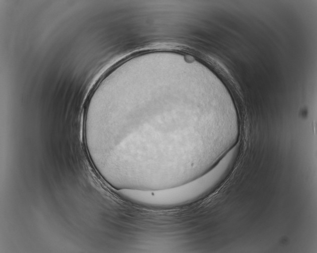 X0000115191276200912091102