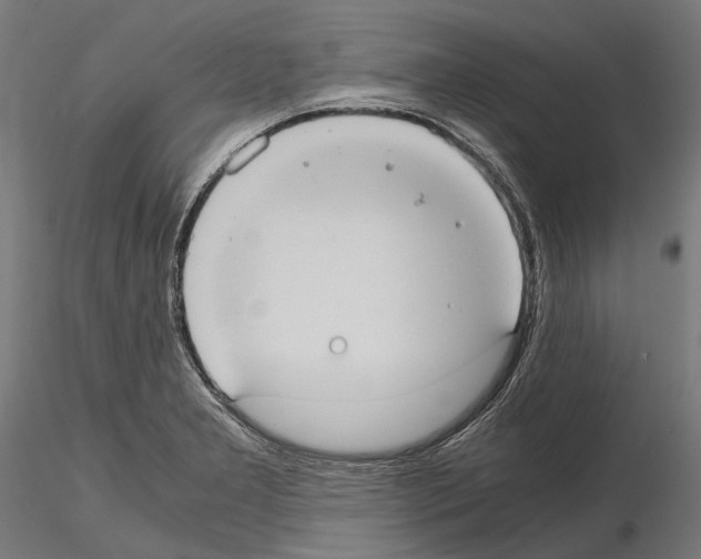 X0000115191277200912091102