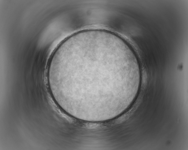 X0000115191278200912091102