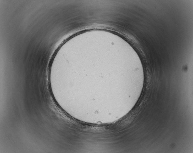 X0000115191280200912091102