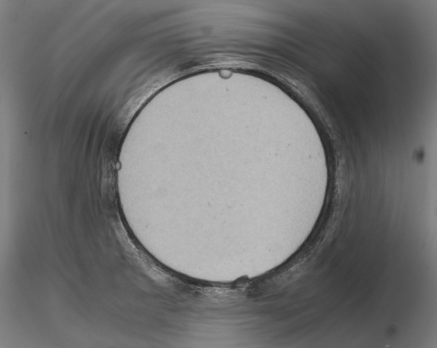 X0000115191281200912091102