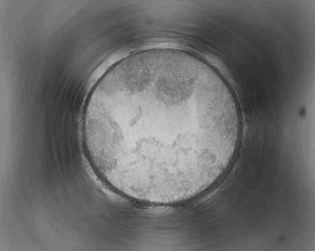 X0000115191282200912091102