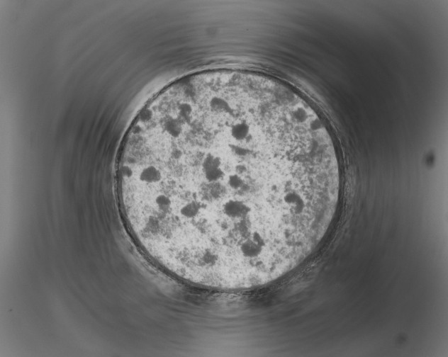 X0000115191283200912091102