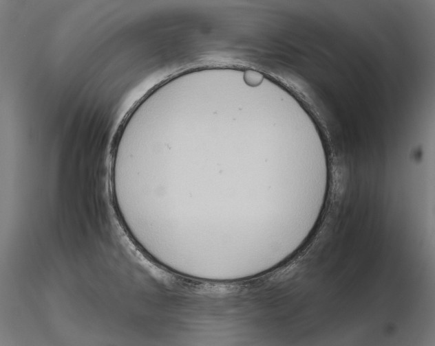 X0000115191286200912091102