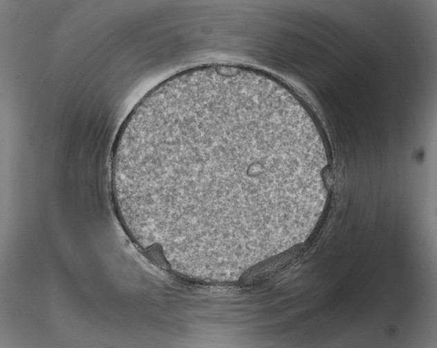 X0000115191287200912091102