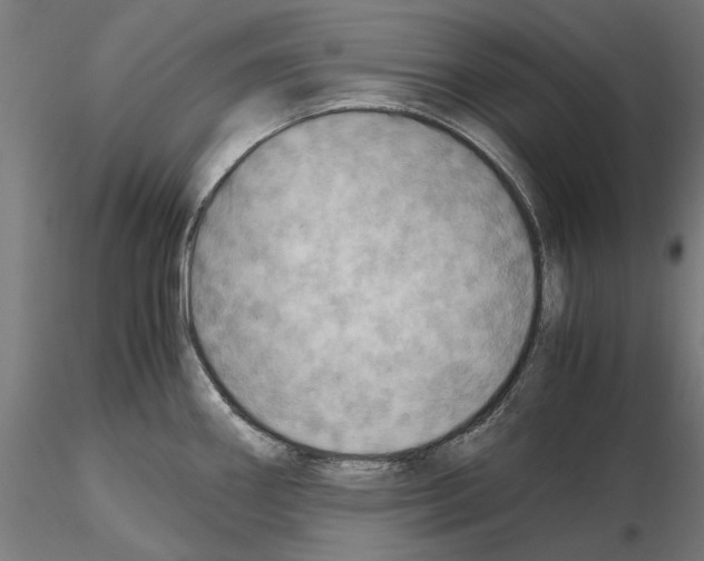 X0000115191290200912091102