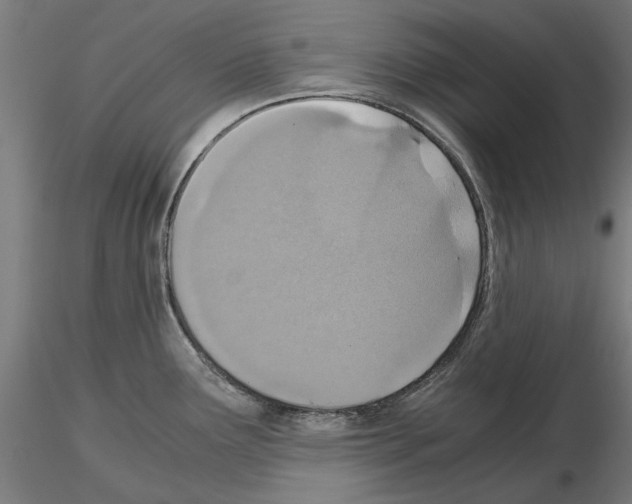 X0000115191291200912091102