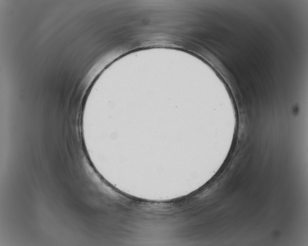 X0000115191293200912091102