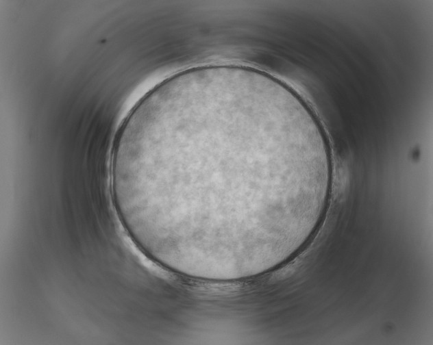 X0000115191294200912091102