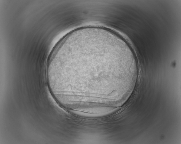 X0000115191295200912091102