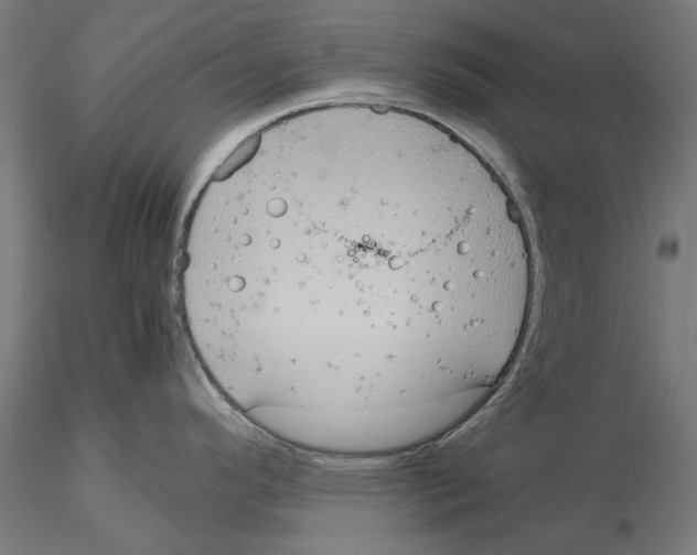 X0000115191296200912091102