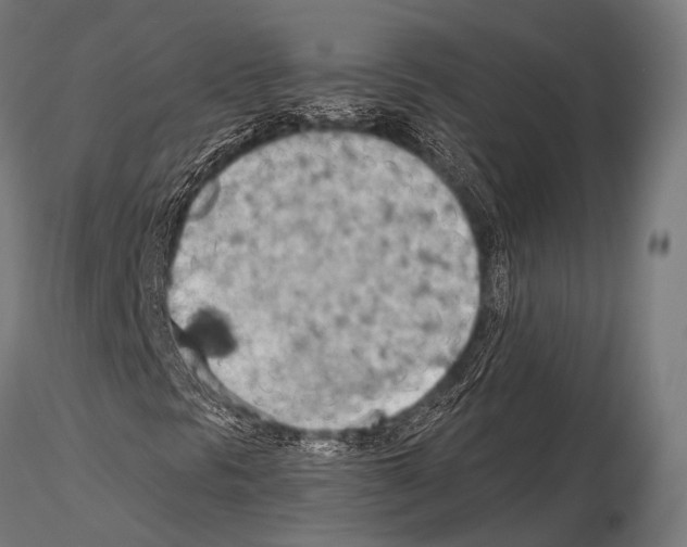 X0000115191297200912091101