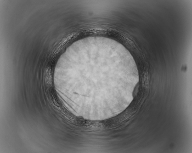 X0000115191298200912091101