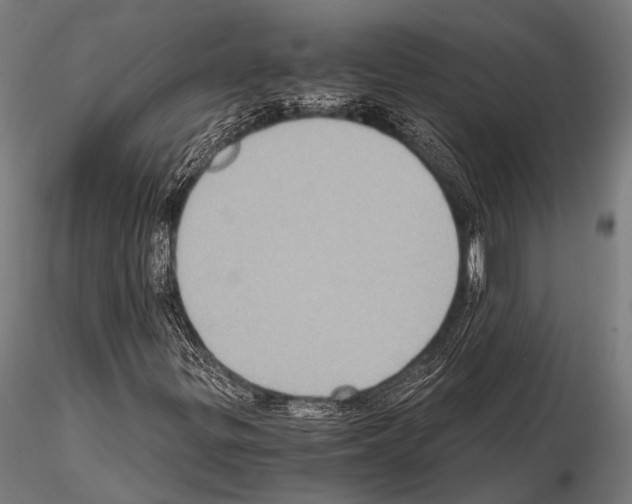 X0000115191299200912091101