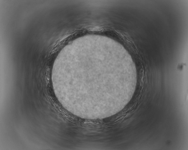 X0000115191301200912091101