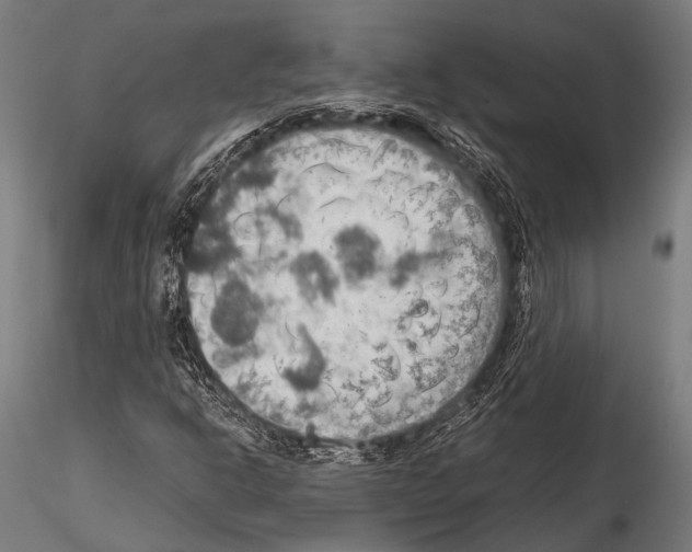 X0000115191302200912091101