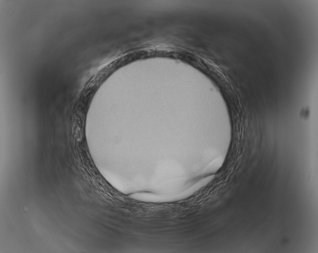 X0000115191303200912091101