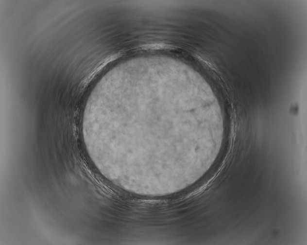 X0000115191305200912091101