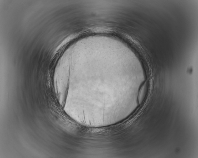 X0000115191306200912091101