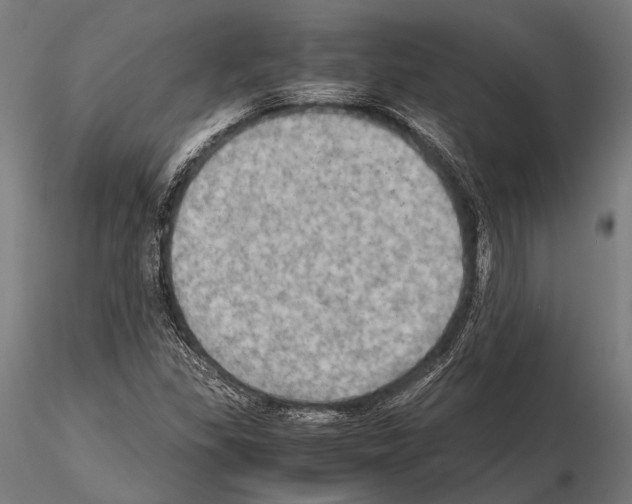 X0000115191309200912091101