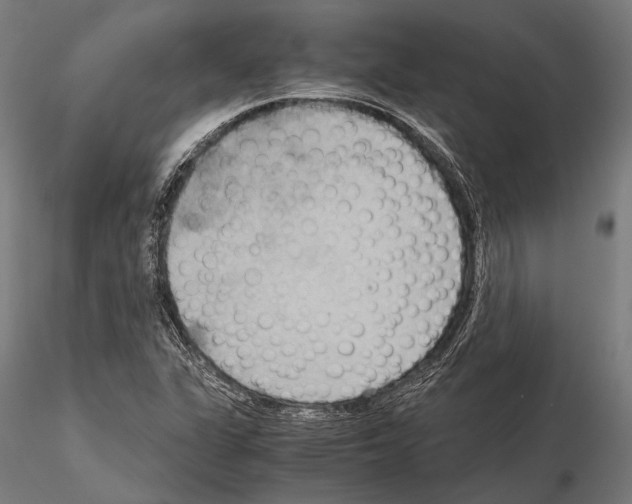 X0000115191311200912091101