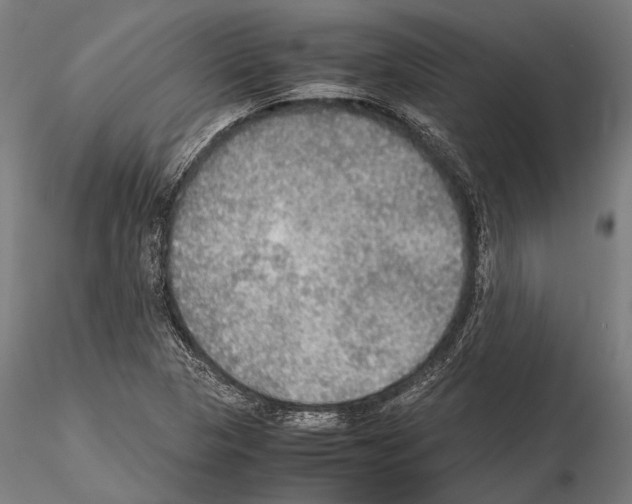 X0000115191313200912091101