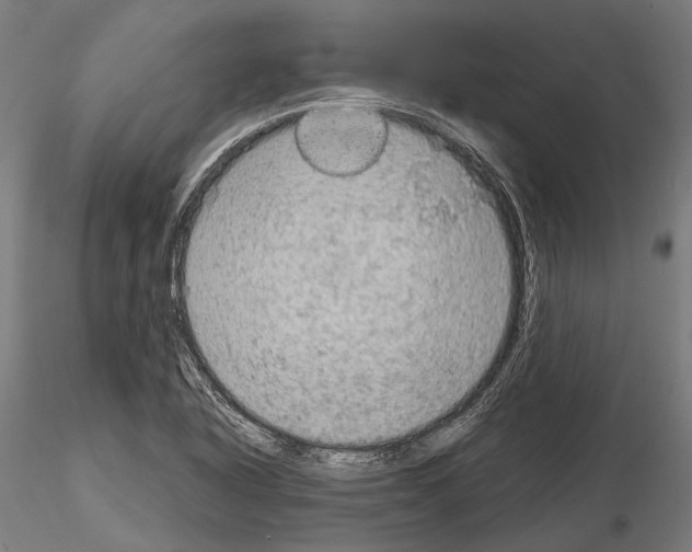 X0000115191318200912091101