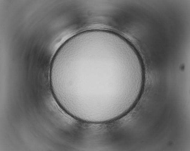 X0000115191322200912091101