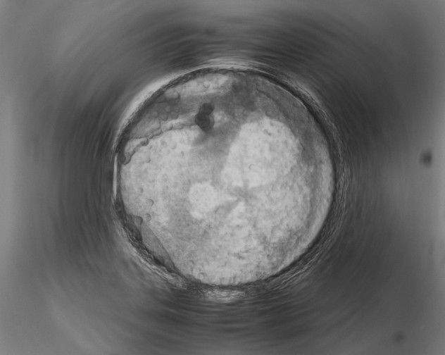 X0000115191323200912091101