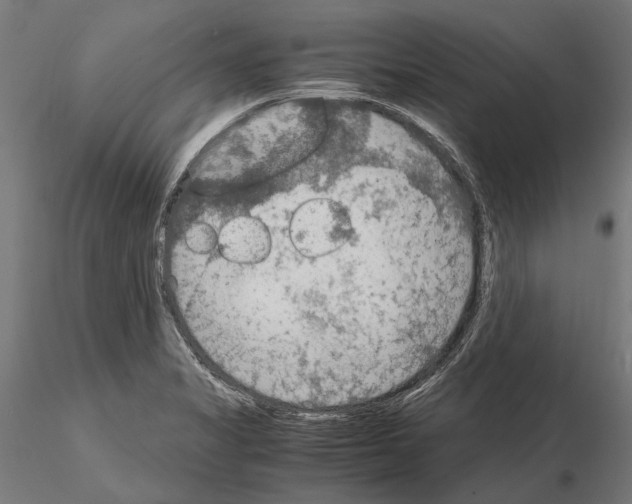 X0000115191325200912091101