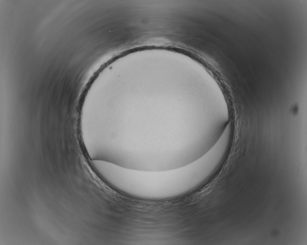 X0000115191326200912091101