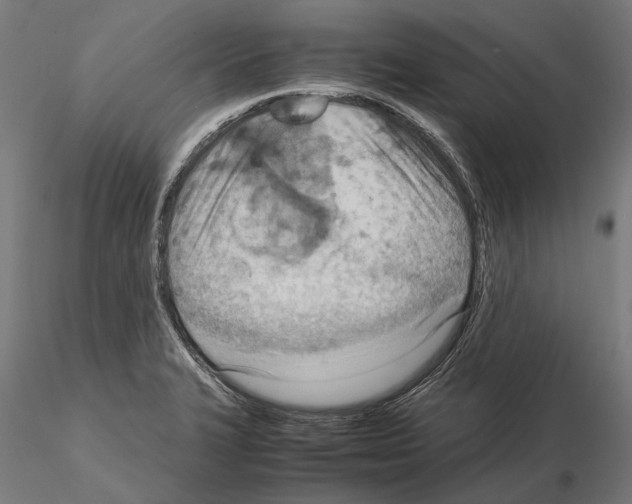 X0000115191327200912091101