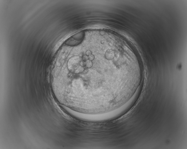 X0000115191329200912091101