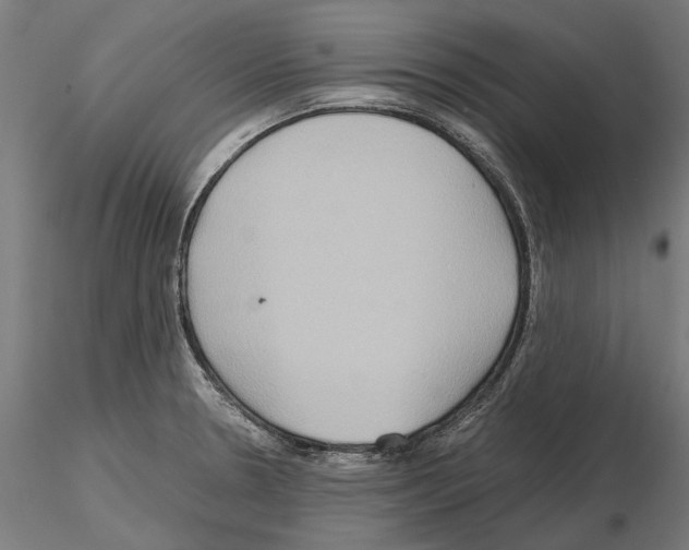 X0000115191330200912091101