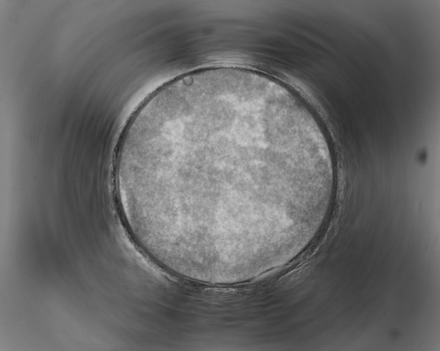 X0000115191331200912091101