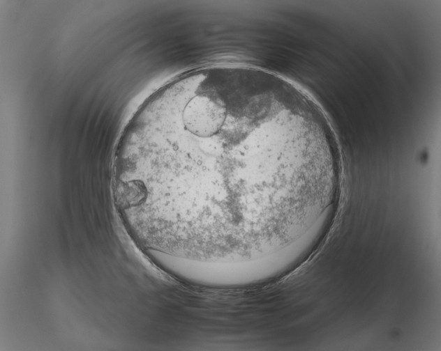 X0000115191333200912091101