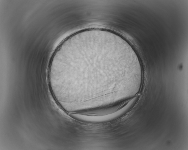 X0000115191334200912091101