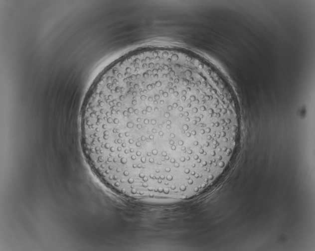 X0000115191335200912091101