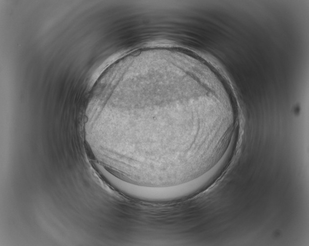 X0000115191337200912091101