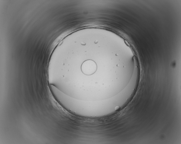 X0000115191338200912091101