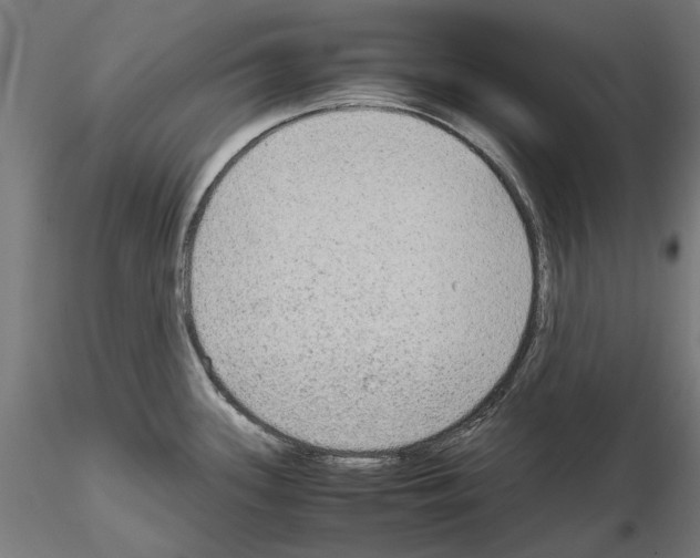 X0000115191339200912091101