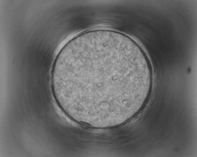 X0000115191341200912091101