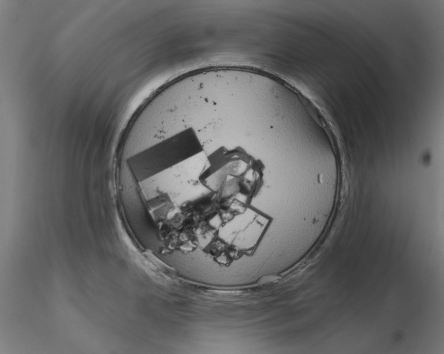 X0000115191342200912091101