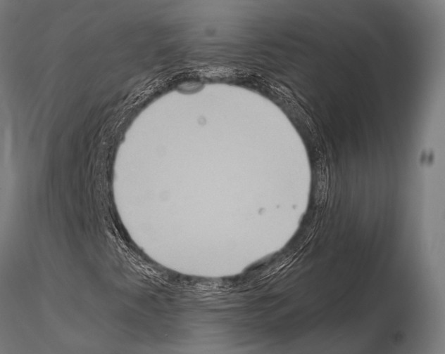 X0000115191345200912091101