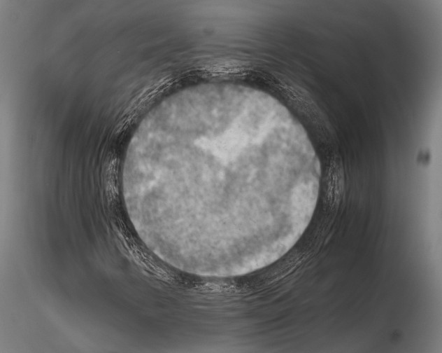 X0000115191346200912091101