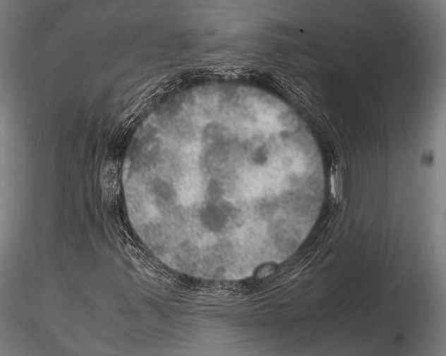 X0000115191347200912091101