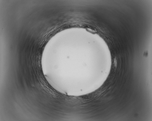 X0000115191348200912091101