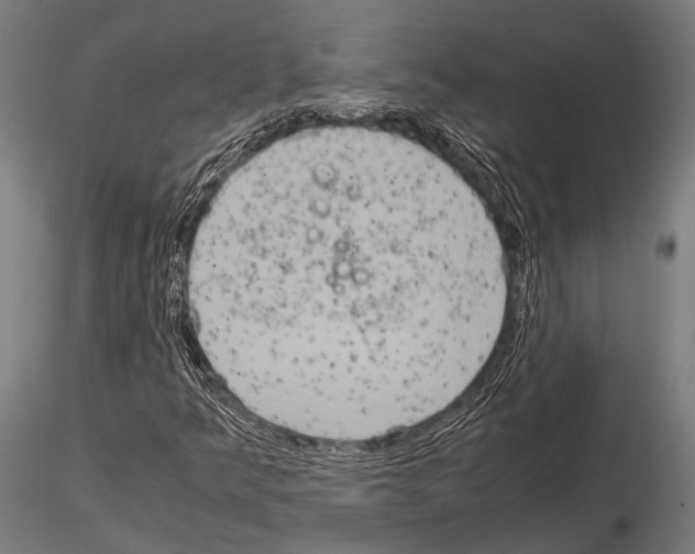 X0000115191349200912091101